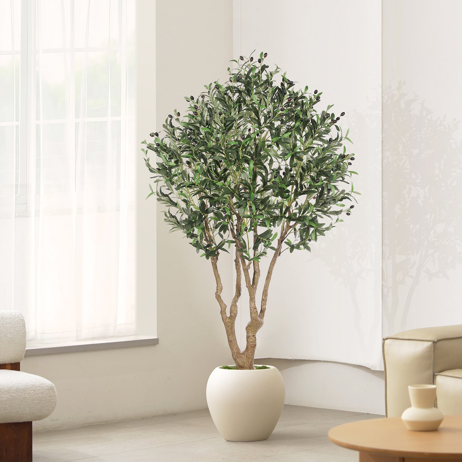 Olive Tree Realistic